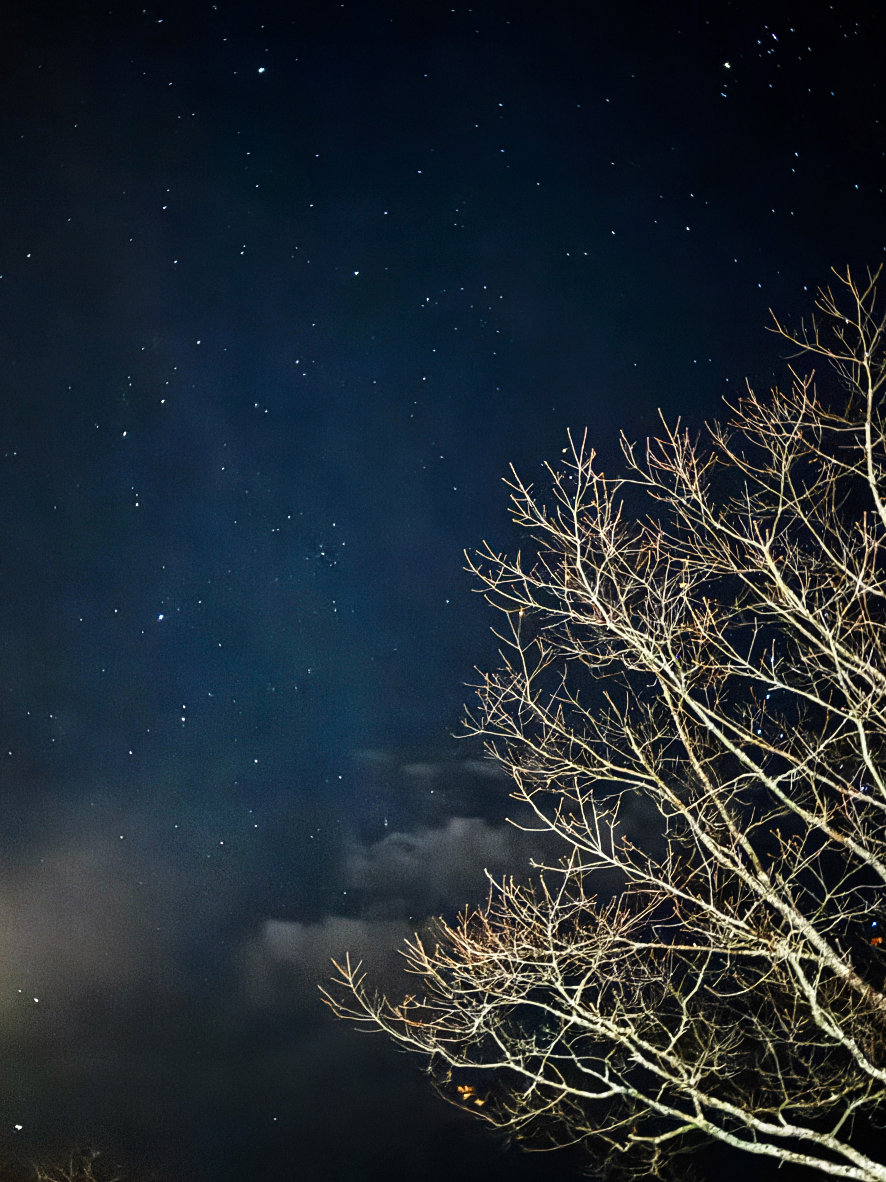 A quiet New England holiday scene