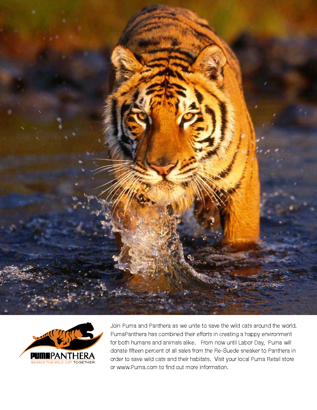 Puma Panthera advertising concept, page one
