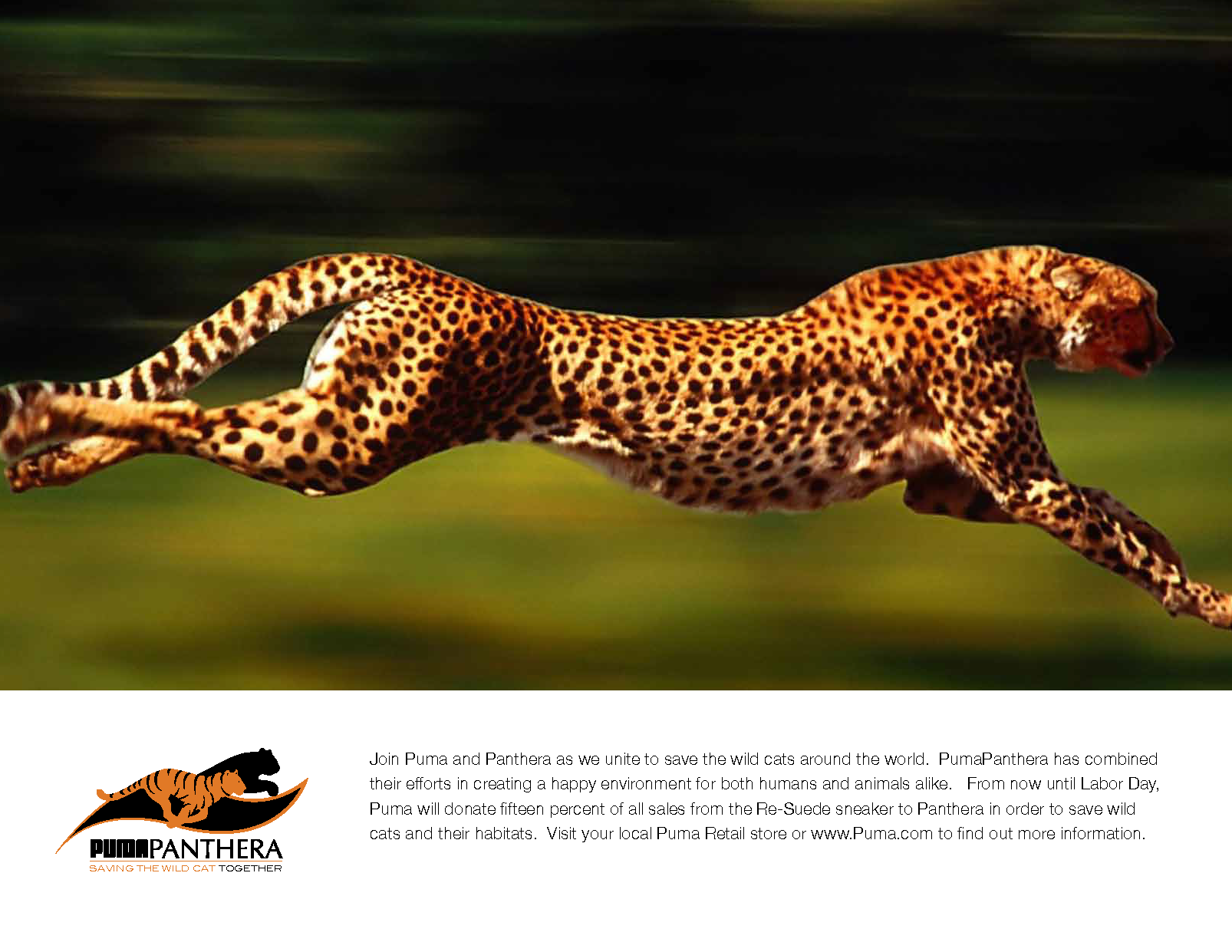 Puma Panthera advertising concept, page two