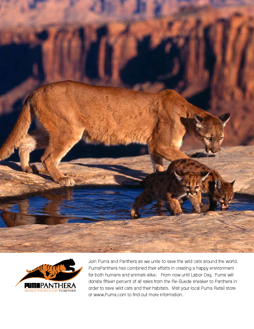 Puma Panthera advertising concept, page three