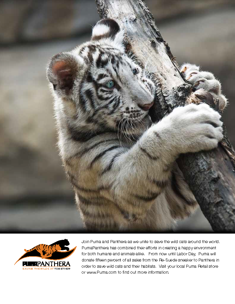 Puma Panthera advertising concept, page four