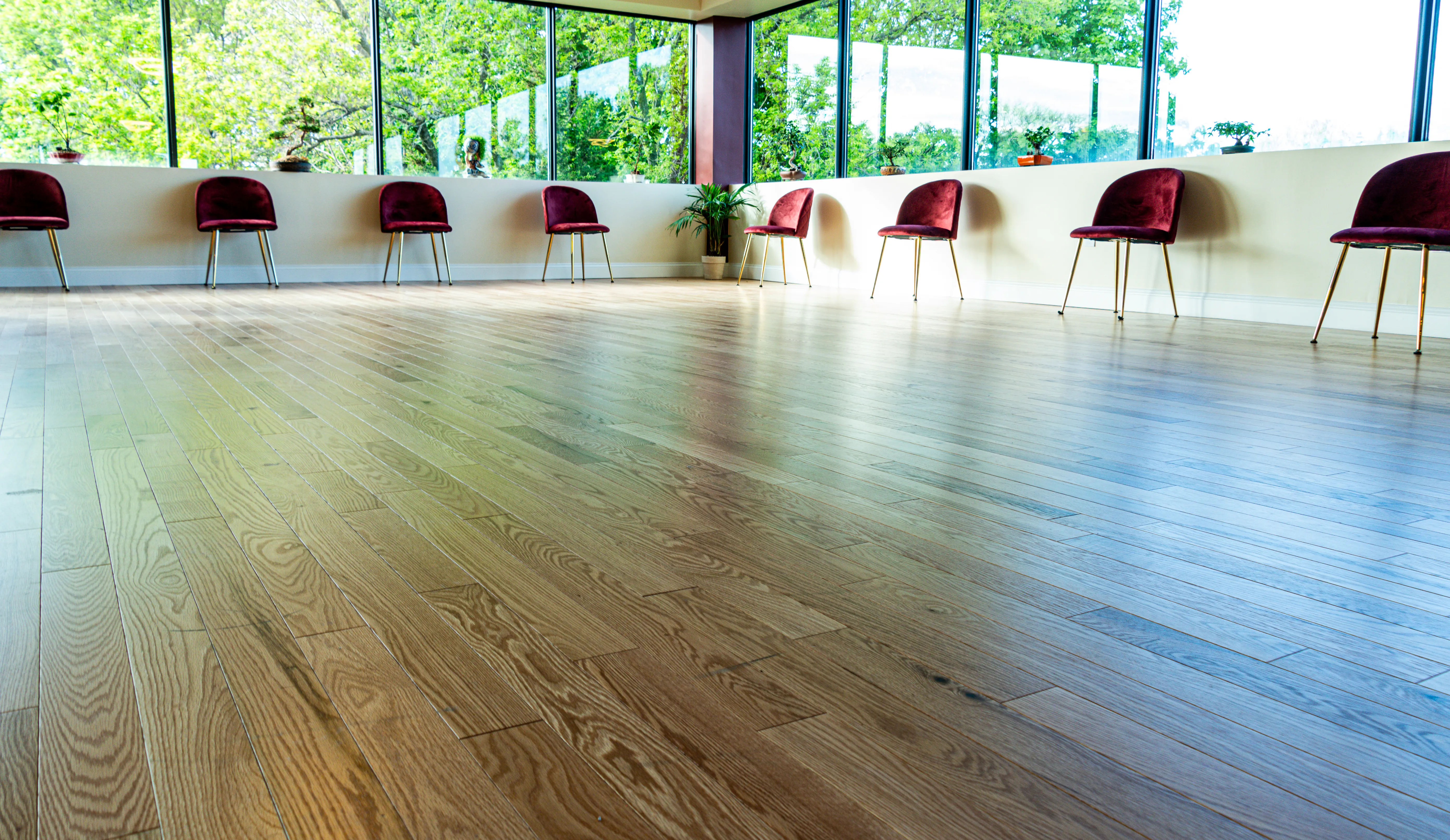 Ignis Arts Ballroom Studio interior